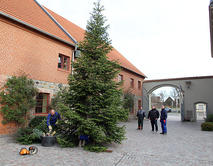 Aufstellen_Weihnachtsbaum
