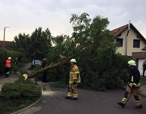 FFW_Meitzendorf_Sturmschaden_Baum