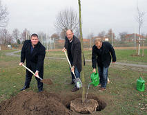 Baumspende_Salutas_Pharma