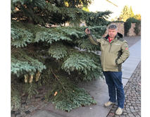 Weihnachtsbaumbeleuchtung zerst�rt