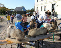 Erntedank_Landwirt_Dorendorf