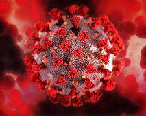 Coronavirus