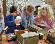 Insektenhotels Jugendclub Meitzendorf